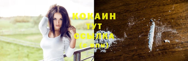стаф Абаза