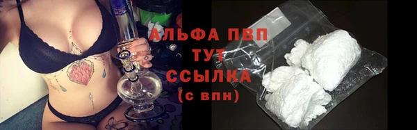стаф Абаза