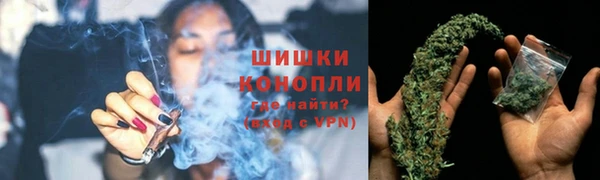 сатива Абинск