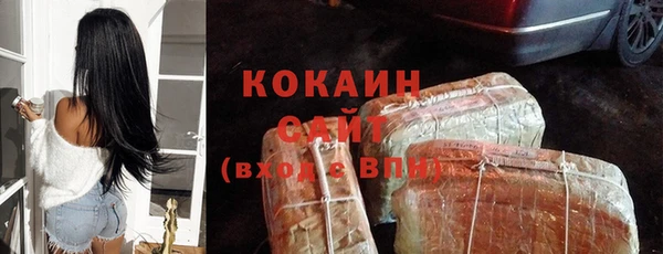 стаф Абаза