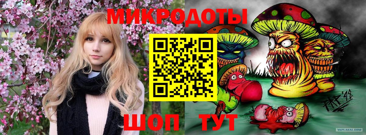Искитим  Галлюциногенные грибы MAGIC MUSHROOMS  Вход с VPN 